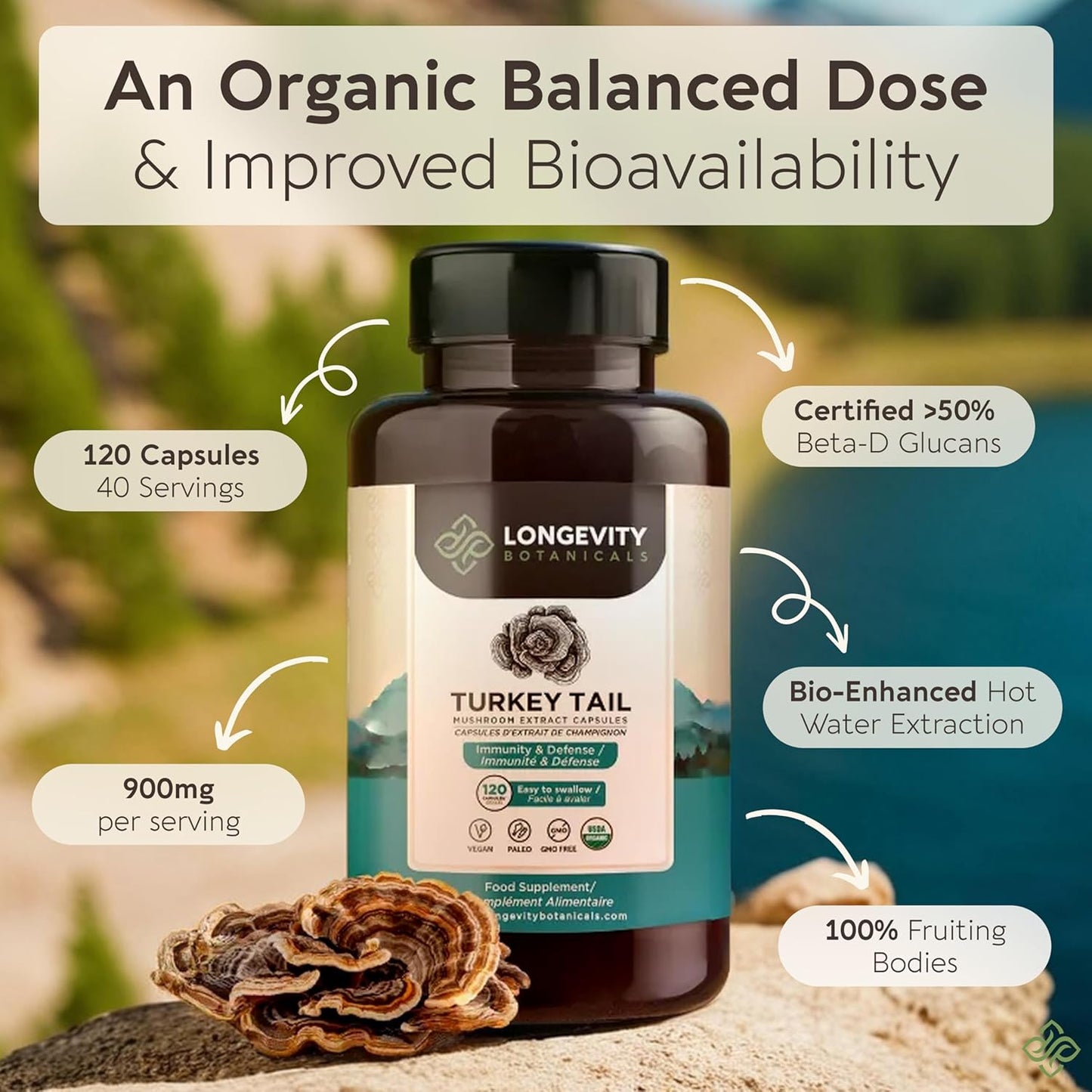 Organic Turkey Tail Mushroom Capsules - Ultra Concentrated Turkey Tail Mushroom Supplement - Promotes a Balanced Immune and Digestive System - 100% Fruiting Body - 120 Count -