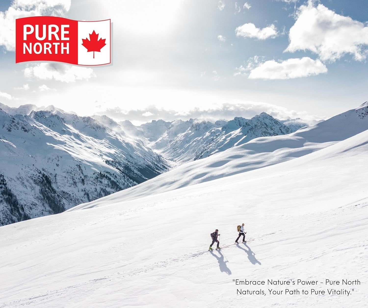 PURE Creatine 100% Micronized - Micronized Creatine Monohydrate for Man & Women - Unflavoured, GMO Free, Non Irradiated, Gluten Free -