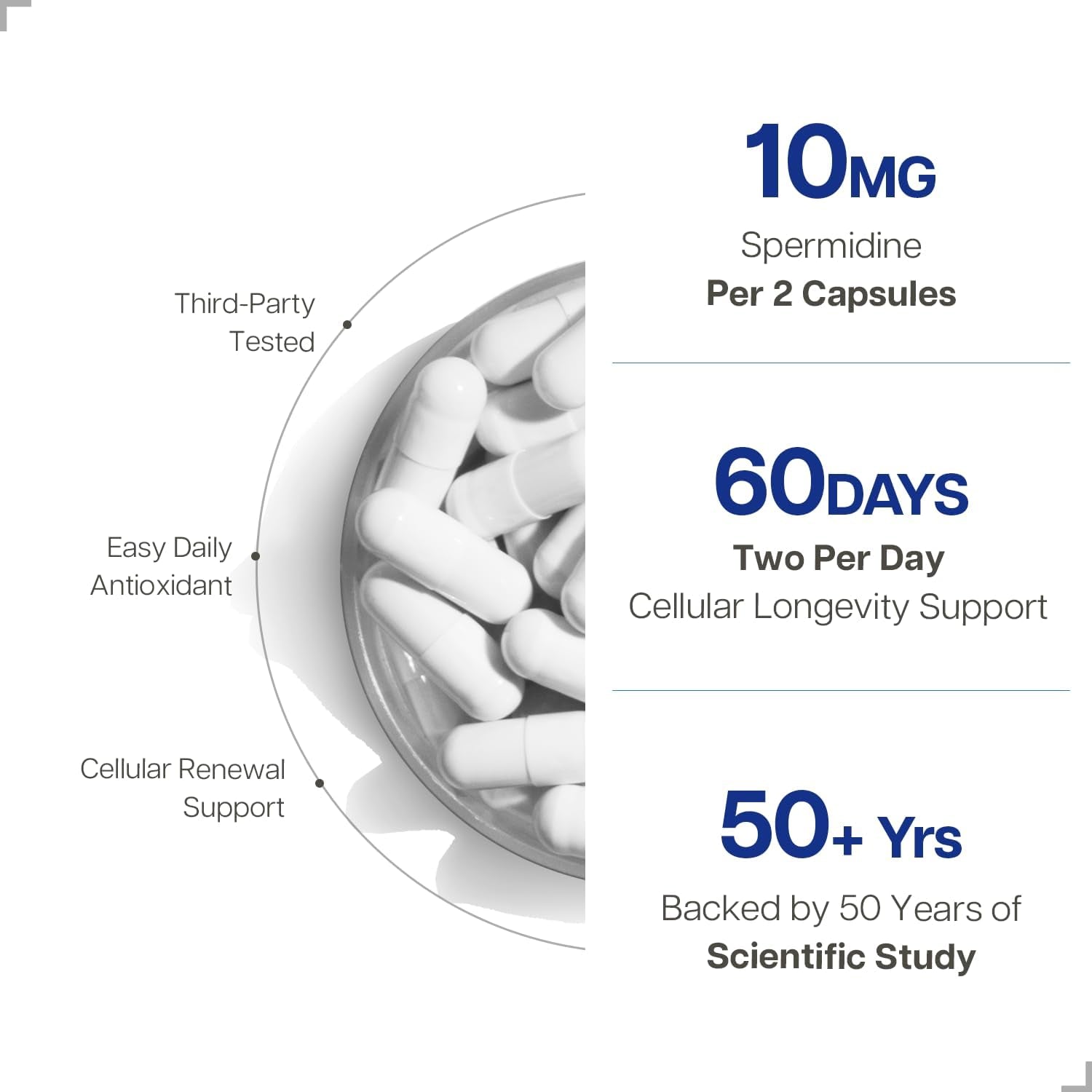 Spermidine Supplement 10Mg 120 Capsules (98% of Spermidine 3HCL - Third Party Tested) for Healthy Aging, Longevity, and Cellular Renewal - Made in Canada