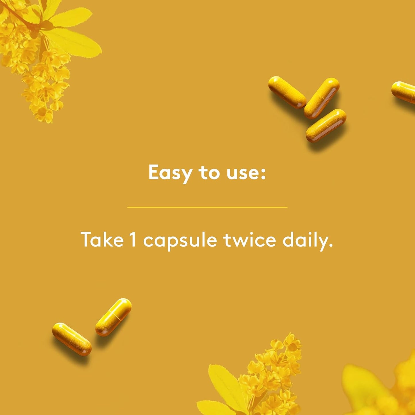 Berberine 1000Mg - High Power, Ultra-Pure, Organic, Superfood - Vegan, Gmo-Free, Gluten-Free, Allergen-Free - Box of 90 Vegetable Capsules