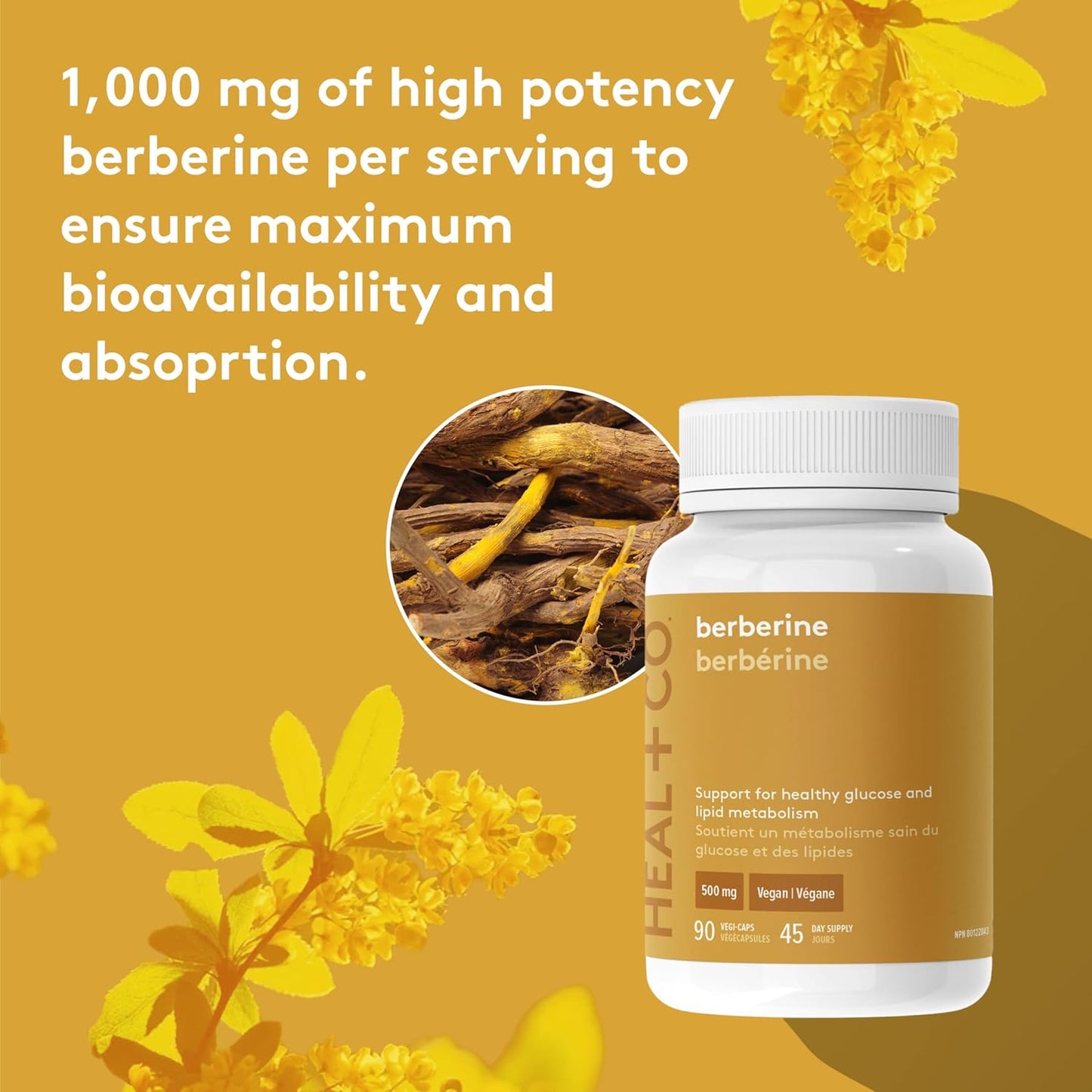 Berberine 1000Mg - High Power, Ultra-Pure, Organic, Superfood - Vegan, Gmo-Free, Gluten-Free, Allergen-Free - Box of 90 Vegetable Capsules