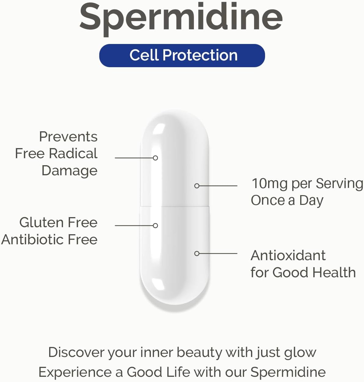 Spermidine Supplement 10Mg 120 Capsules (98% of Spermidine 3HCL - Third Party Tested) for Healthy Aging, Longevity, and Cellular Renewal - Made in Canada