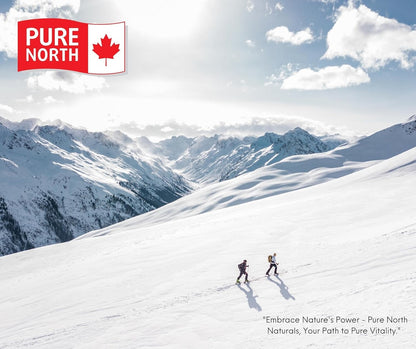 PURE Creatine 100% Micronized - Micronized Creatine Monohydrate for Man & Women - Unflavoured, GMO Free, Non Irradiated, Gluten Free -