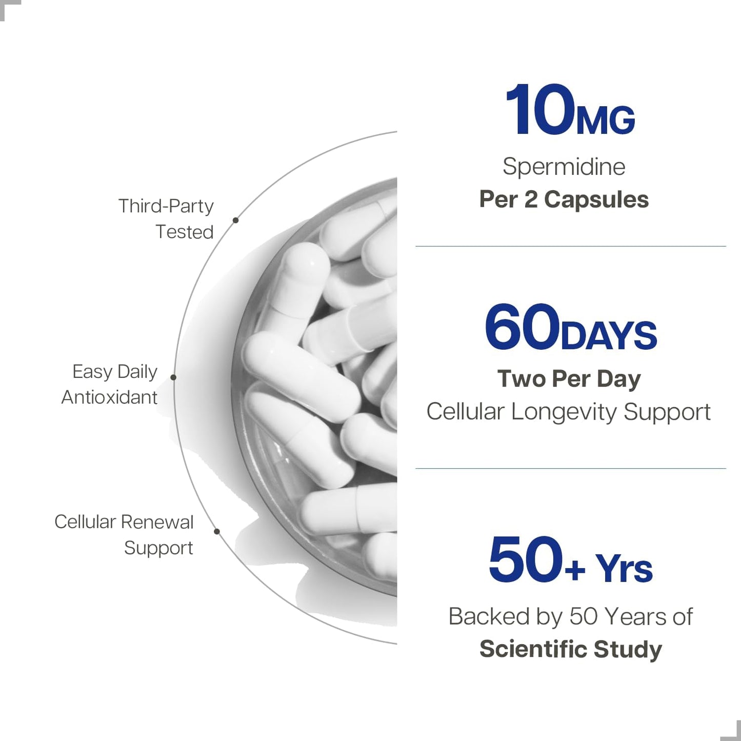 Spermidine Supplement 10Mg 120 Capsules (98% of Spermidine 3HCL - Third Party Tested) for Healthy Aging, Longevity, and Cellular Renewal - Made in Canada