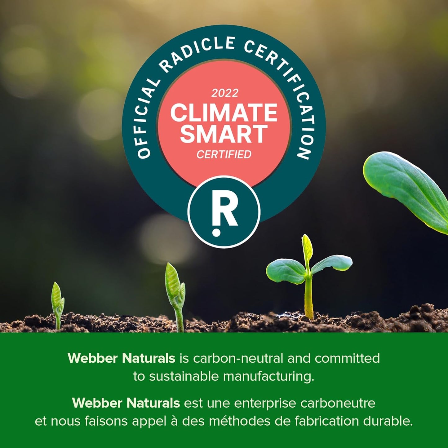 Melatonin 5 Mg Extra Strength, 144 Quick Dissolve Tablets, for Sleep Support, Vegetarian