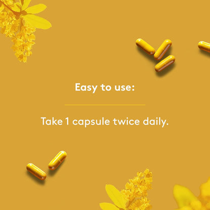 Berberine 1000Mg - High Power, Ultra-Pure, Organic, Superfood - Vegan, Gmo-Free, Gluten-Free, Allergen-Free - Box of 90 Vegetable Capsules