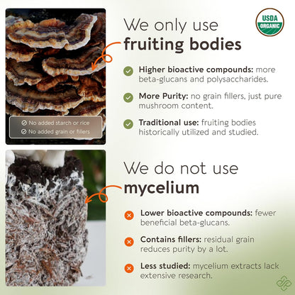 Organic Turkey Tail Mushroom Capsules - Ultra Concentrated Turkey Tail Mushroom Supplement - Promotes a Balanced Immune and Digestive System - 100% Fruiting Body - 120 Count -