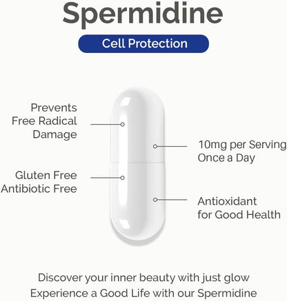 Spermidine Supplement 10Mg 120 Capsules (98% of Spermidine 3HCL - Third Party Tested) for Healthy Aging, Longevity, and Cellular Renewal - Made in Canada