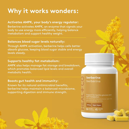 Berberine 1000Mg - High Power, Ultra-Pure, Organic, Superfood - Vegan, Gmo-Free, Gluten-Free, Allergen-Free - Box of 90 Vegetable Capsules